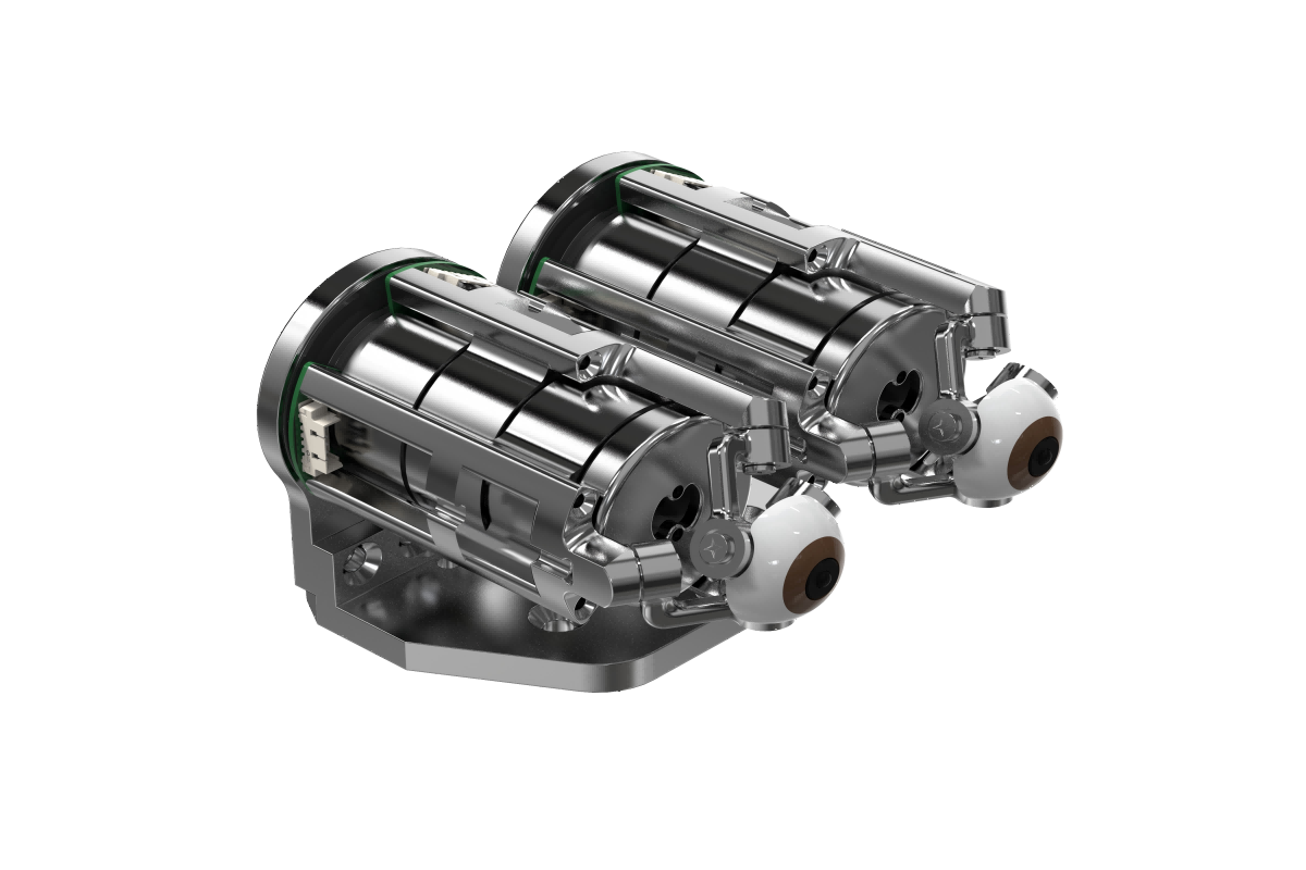 Anhui Eyevolution Technology Co., Ltd.