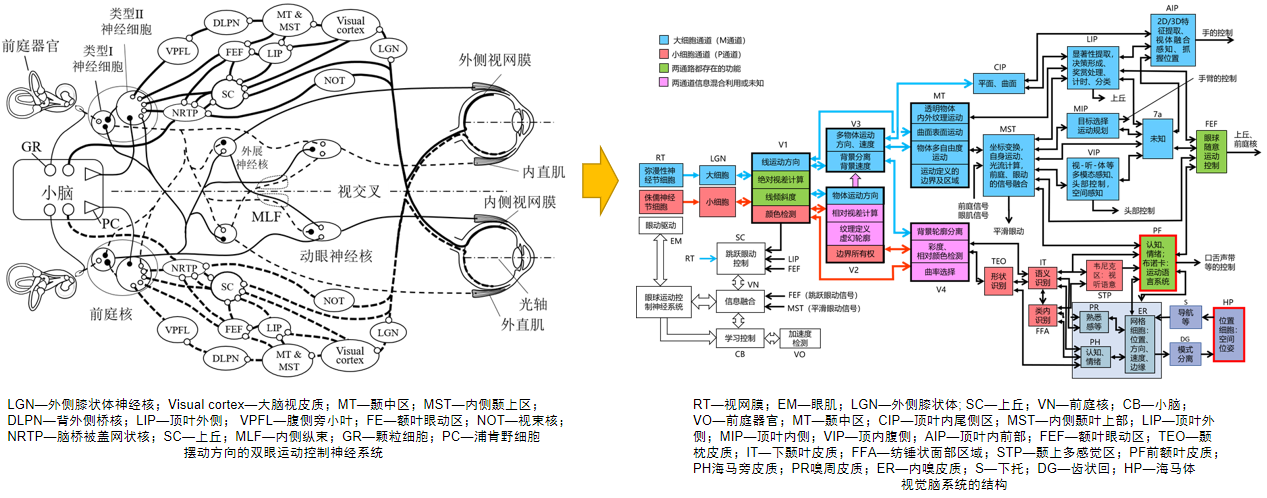 Anhui Eyevolution Technology Co., Ltd.