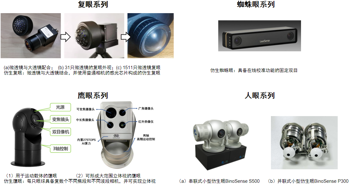 Anhui Eyevolution Technology Co., Ltd.